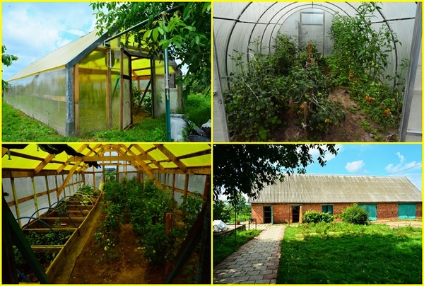 Продам дом в д. Новые Зеленки 56 км. от Минска 8