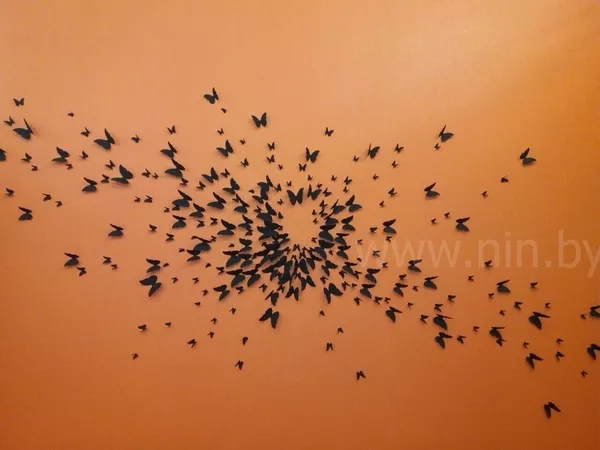 Бабочки на стене 3