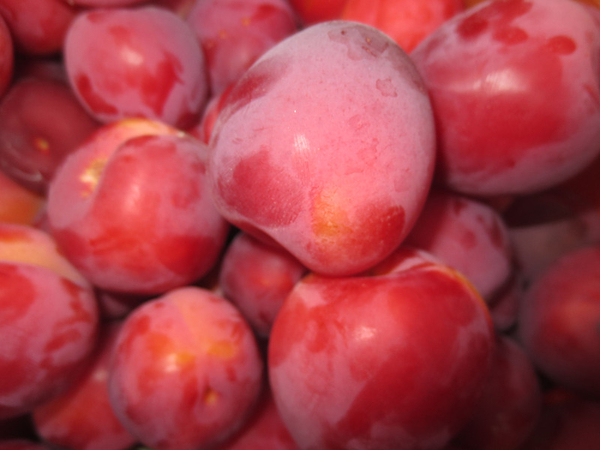 Саженцы плодово- ягодных культур от производителя 4