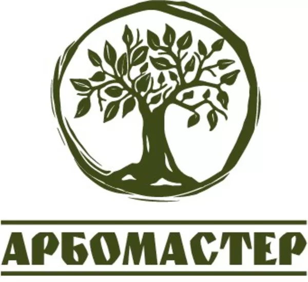 Профессиональное удаление деревьев любой сложности по всей Беларуси